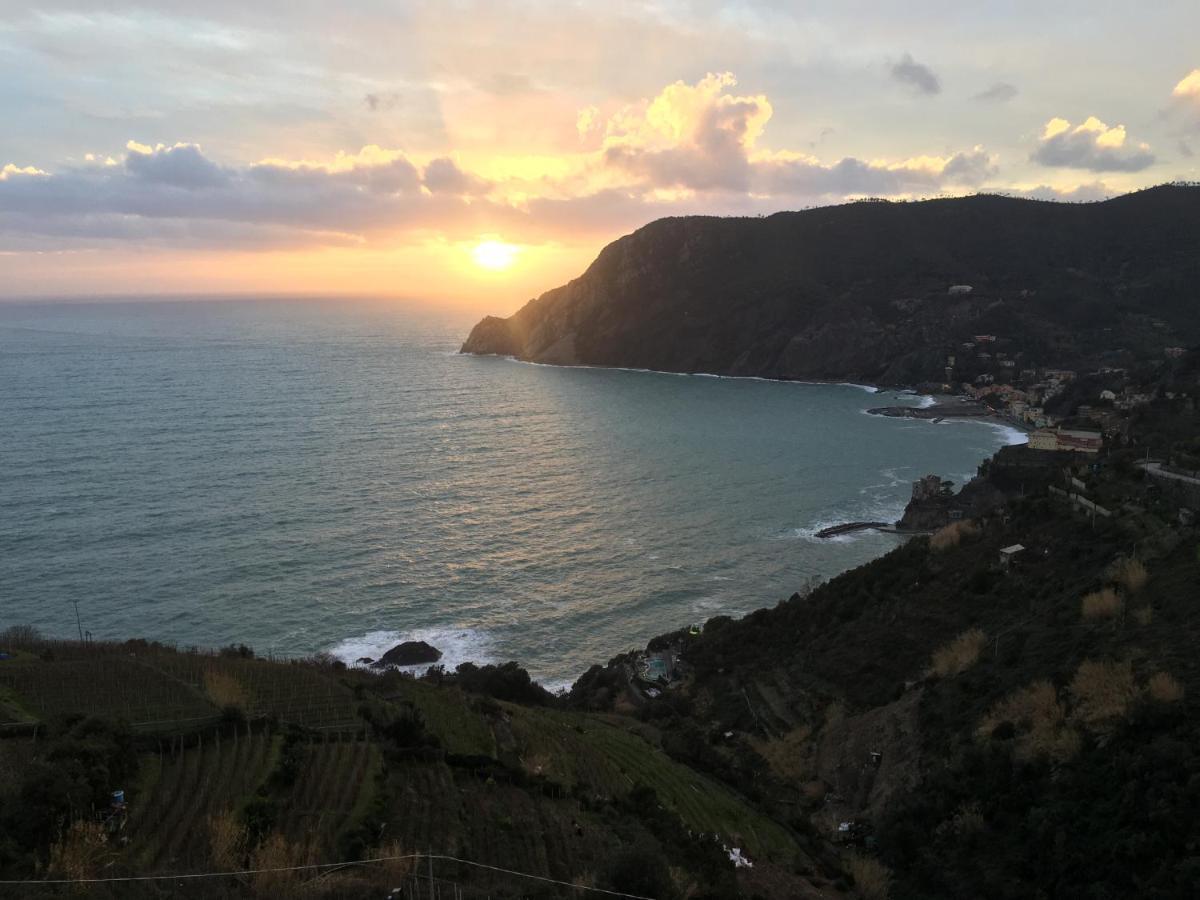 몬테로소 알 마레 Le Cinque Vele ***** Cinque Terre 아파트 외부 사진