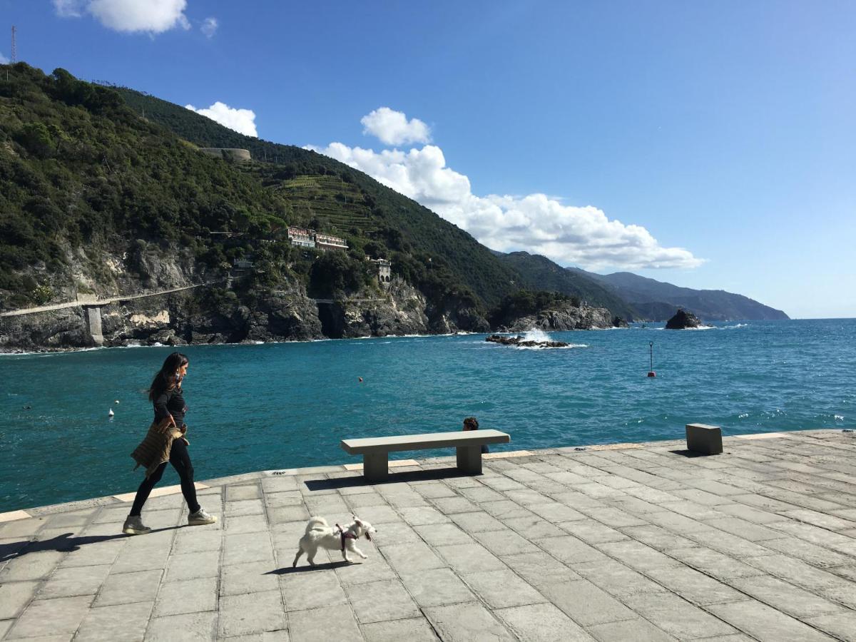 몬테로소 알 마레 Le Cinque Vele ***** Cinque Terre 아파트 외부 사진